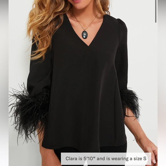 Tuckernuck Tops - Black Feather Easton Blouse